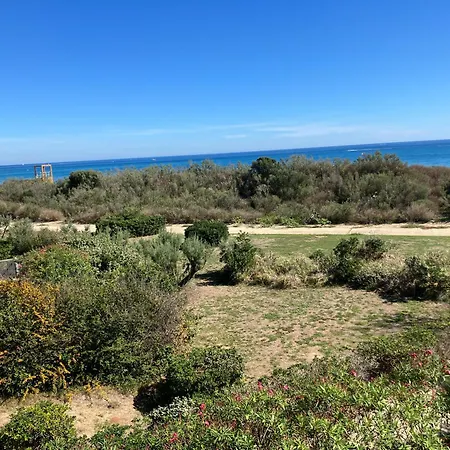 Apartment Seaside Serenity: Beachfront With Pool And Ocean Views *